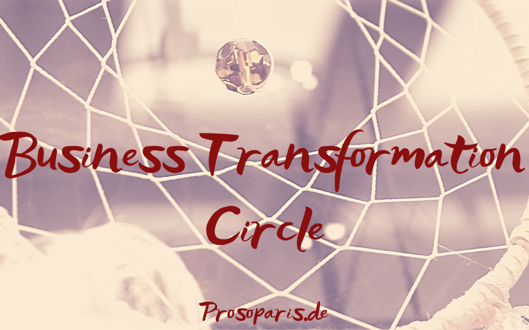 Busieness Transformation Circle, Theorie U, Petra Prosoparis, Wandel, Transformation, Change