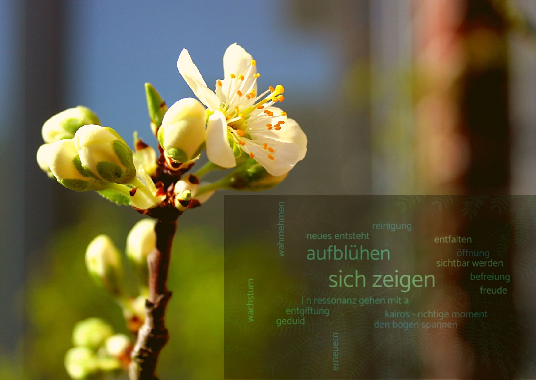 Online Retreat aufblühen entfalten theory u, online retreat, vision 2021, serving life
